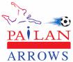 Indian Arrows