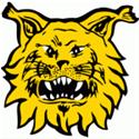 Y Ilves (W)