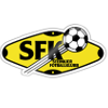 Steinkjer U19