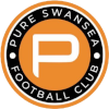 Swansea University