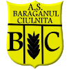 Baraganul Ciulnita