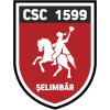 ACS Viitorul Selimbar