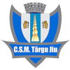 CSM Targu Jiu