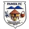 Pamek