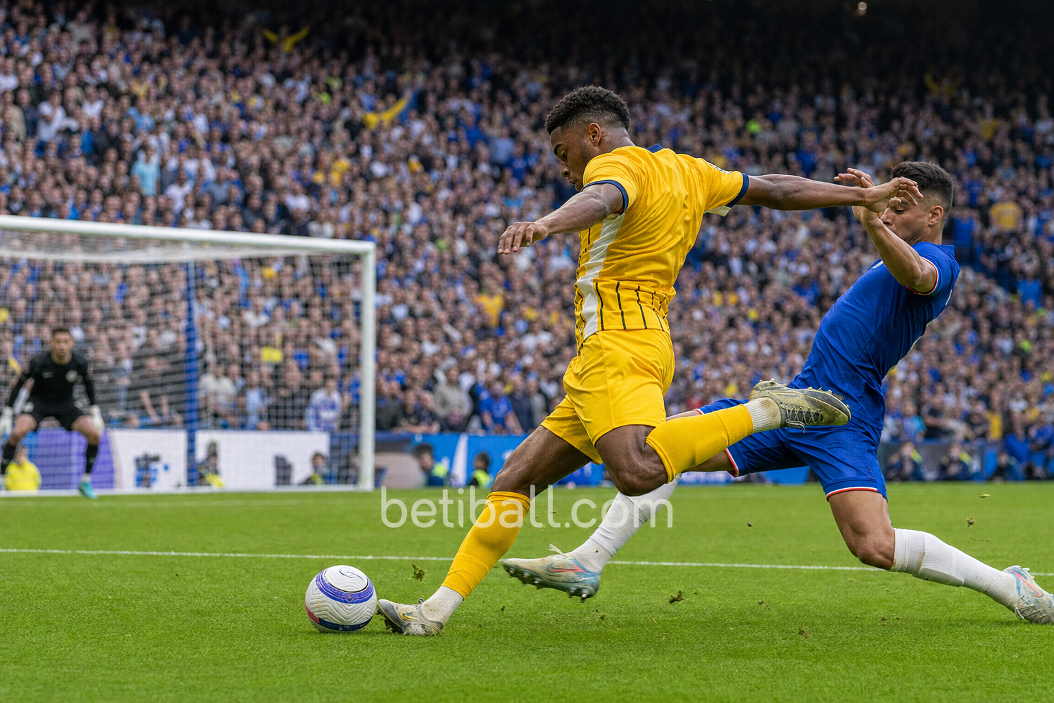 Match preview image 3